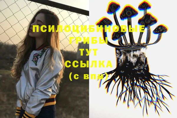 тгк Новодвинск