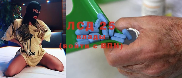 тгк Новодвинск