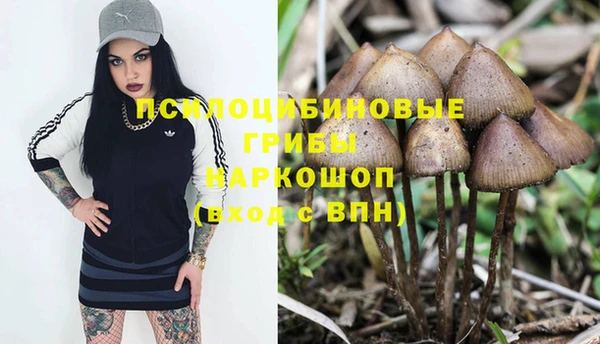 тгк Новодвинск