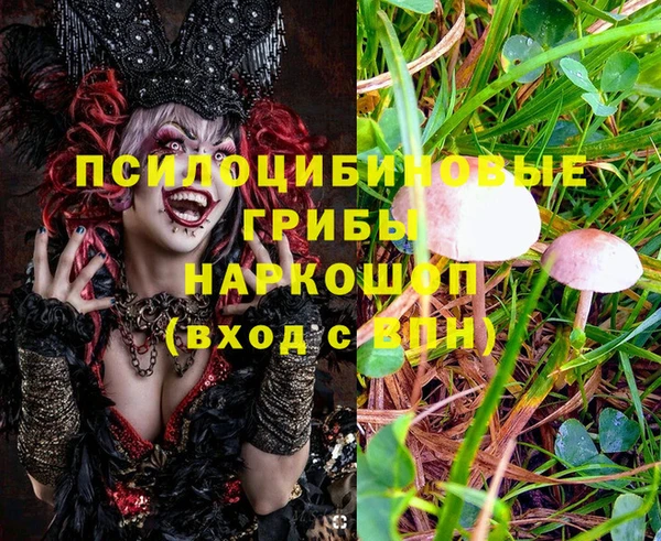 наркотики Новозыбков