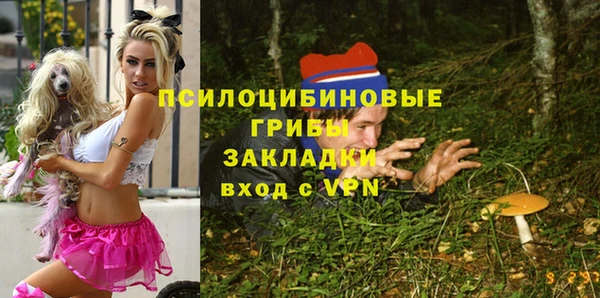 тгк Новодвинск